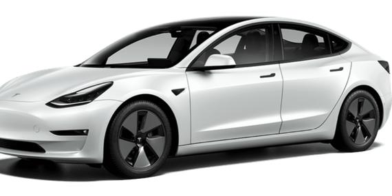 TESLA MODEL 3 2021 5YJ3E1EC7MF082503 image
